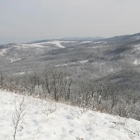 招待所 Big Bear 2*