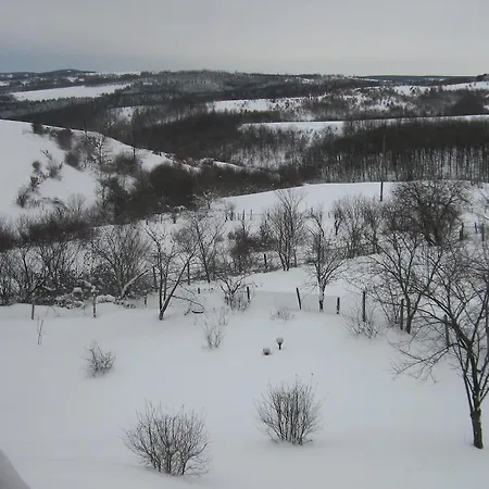 Guest house Big Bear 2*